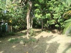 LAND FOR SALE IN NEGOMBO