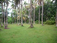 land with house in dambulla