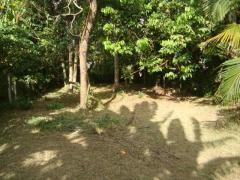 LAND FOR SALE IN NEGOMBO