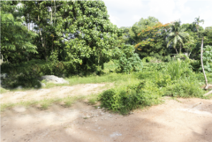 Land for sale in Wikramasinghapura