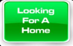 Wanted 3 Bedrooms unfurnished House for Rent( Long Term)