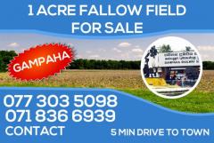 1 Acre Land for Sale in Gampaha Town