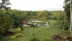 Holiday bungalow facing Bolgoda River