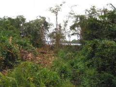 Bolgoda River Front Land for Sale