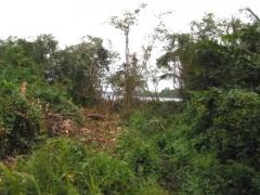 Bolgoda River Front Land for Sale