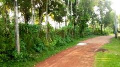 VALUABLE RESIDENTIAL LAND AT ALUTHGAMA BANDARAGAMA