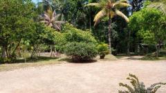 House for rent in Pinnawala, Waga