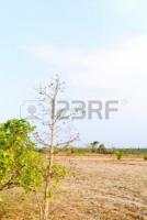 A land for sale in gampaha town