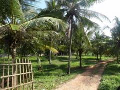 Land in Wattala For sale