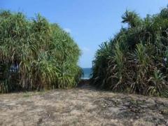 Beach Property
