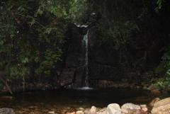 Tea and Rubber Estate in kitulgala