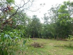 Beautifill Land in Homagama, Godamaag