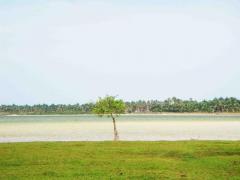 1.5 Acres White Sandy Water Front Land Sale At Kalpitiya