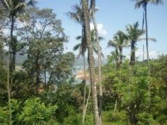 13.8p  Land for sale in Digana