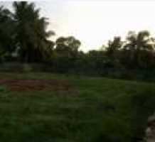 40 Perches Land for Sale in Seeduwa - Main Road