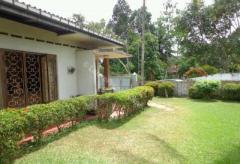 Beautiful house with a green land in Piliyandala.