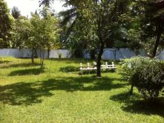 House with 80P land in Malabe