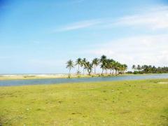 5 Acres Beach Front Land At Kalpitiya