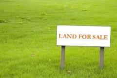 220 Perch Main Road Facing Land for Sale