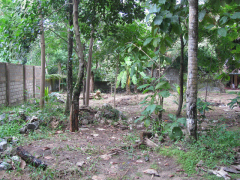 Land near to Colombo main road