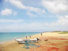 3.75 Acres Ocean Front Land For Sale In Kalpitiya