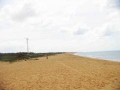 3.75 Acres Ocean Front Land For Sale In Kalpitiya