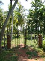 Negambo Lagoon Frontage