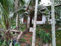 Beautiful house & land for sale in Thalawathugoda