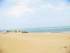 109 Perches Beach Land In Kalpitiya