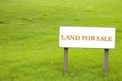 10P Land for SALE