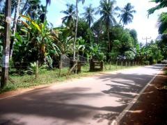 A Coconut Land in Mirigama for sale