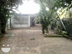 Gothatuwa (Rajagiriya) big house & garden for sale